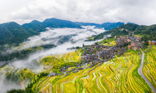 多彩贵州    嗯，秋色绚烂