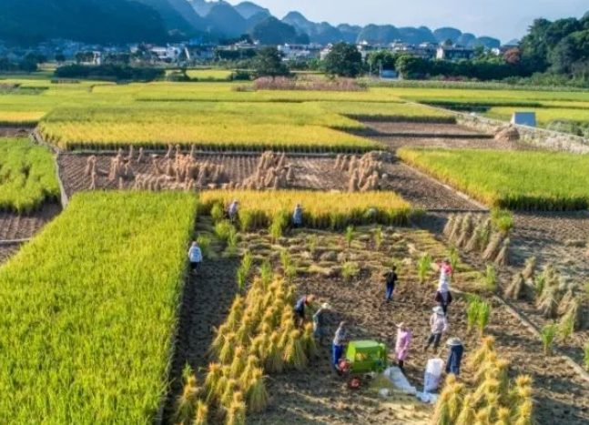 多彩贵州，秋色绚烂