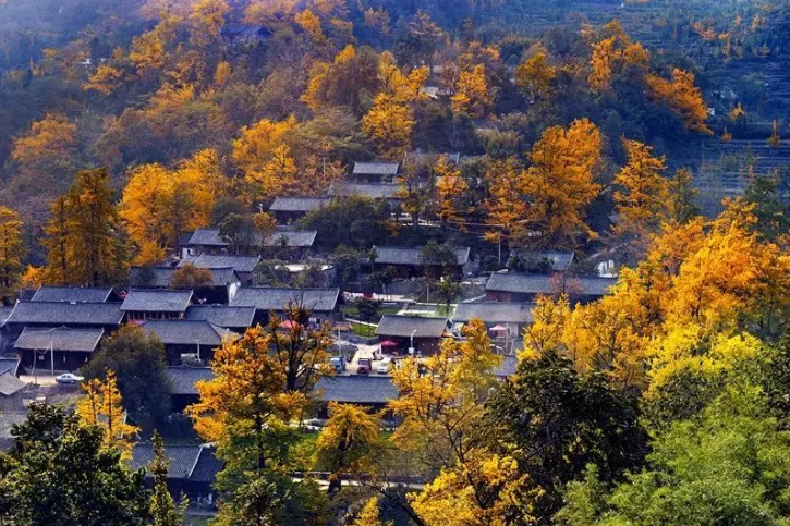 6大旅游线路任选！探寻贵州初秋的魅力