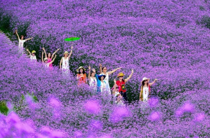 6大旅游线路任选!探寻贵州初秋的魅力 6大旅游线路任选!探寻贵州初秋的魅力