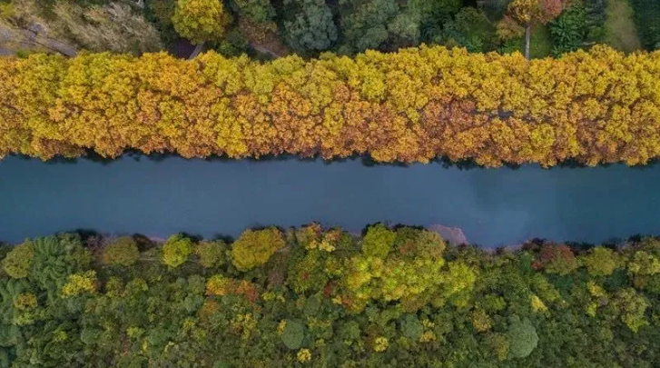 6大旅游线路任选!探寻贵州初秋的魅力 6大旅游线路任选!探寻贵州初秋的魅力