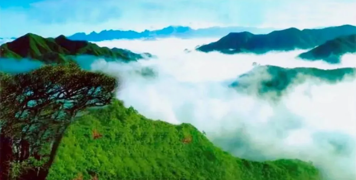 6大旅游线路任选!探寻贵州初秋的魅力 6大旅游线路任选!探寻贵州初秋的魅力