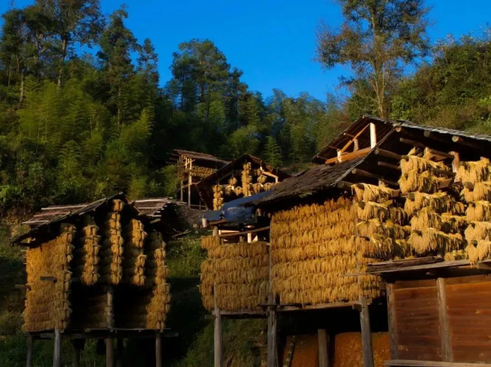 黔东南州一地入选！文化和旅游部公示最新全国乡村旅游重点村镇（乡）名单