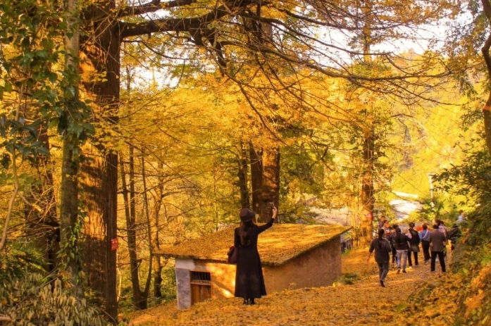 秋游遵义凤冈 | 一起来响水岩赴一场秋色之约！