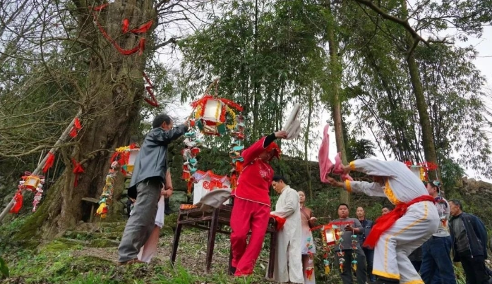 秋游遵义凤冈 | 一起来响水岩赴一场秋色之约！