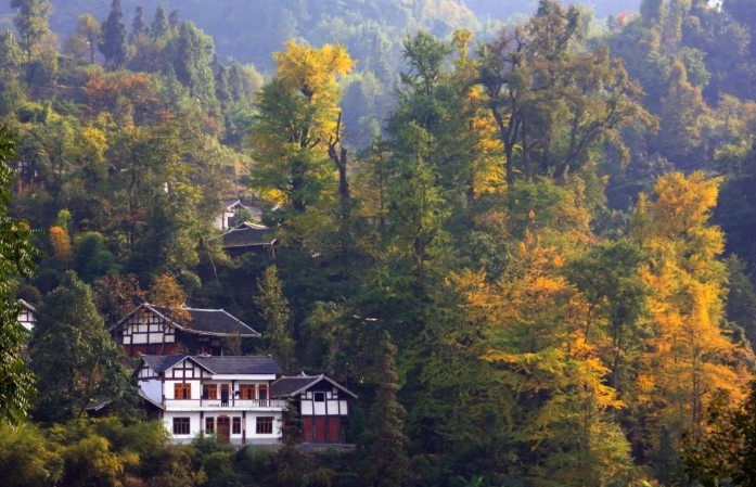 秋游遵义凤冈 | 一起来响水岩赴一场秋色之约！