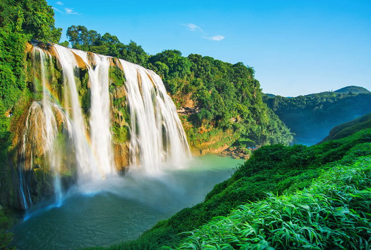 “一棵树”奏响和谐的乐章