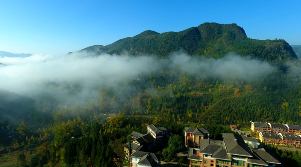 “世界古银杏之乡”最佳观赏期已来! “世界古银杏之乡”最佳观赏期已来!