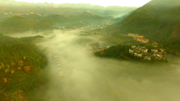 “世界古银杏之乡”最佳观赏期已来! “世界古银杏之乡”最佳观赏期已来!