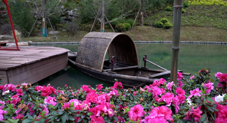 走, 👨🎨这个冬季去百里杜鹃泡温泉吧! 走 呢,这个冬季去百里杜鹃泡温泉吧!