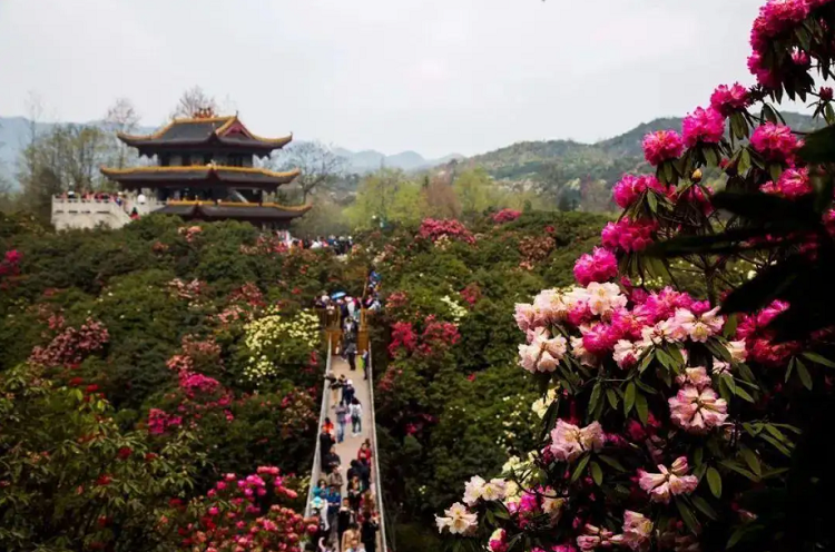 贵州旅游十大景点排名,贵州七日游最佳线路推荐