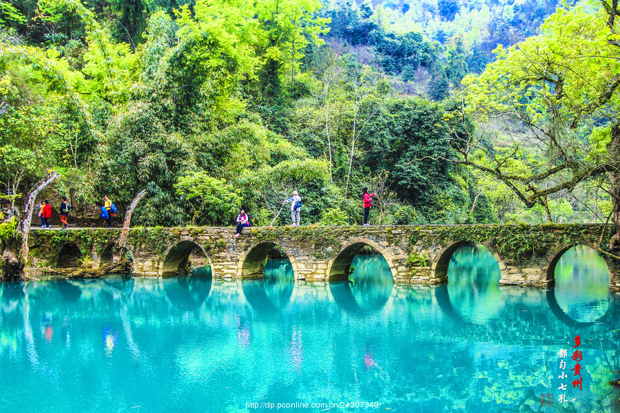 1711447504518282.jpg 53105610_1500384250729_mthumb.jpg