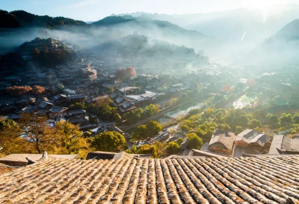 1711529907172064.jpg 1a774de10835579823b816a28446c066-sz_711385.webp.jpg