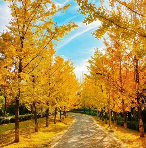 微信截图_20241222110750.png