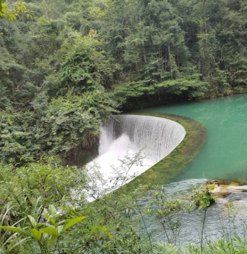 1734845518301913.png image.png